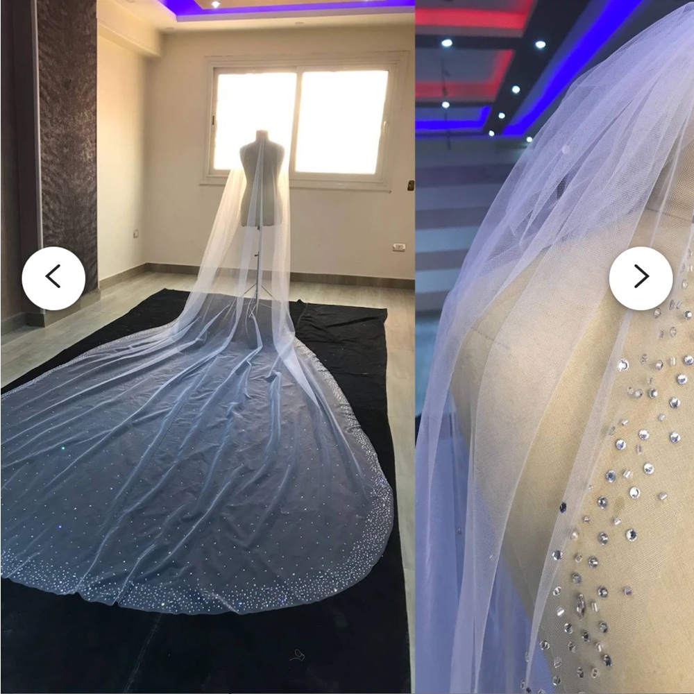Rhinestones cathedral veil, crystal Edge Veil, cathedral silver